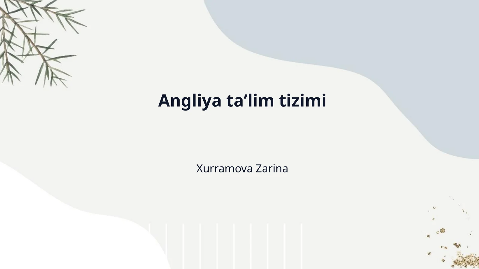 Angliya taʼlim tizimi