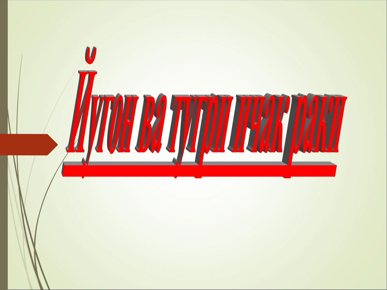 Тўғри ичак анатомияси