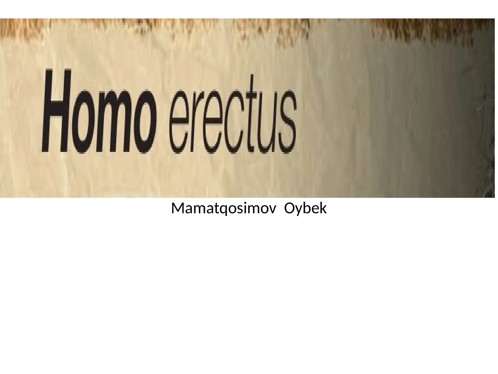 Xitoy hududidan topilgan Homo erectusning bosh chanog'i (Tiklangan)