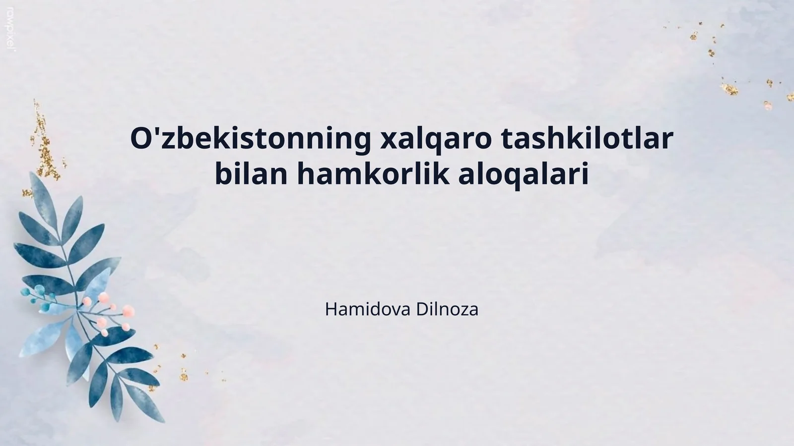 O'zbekistonning xalqaro tashkilotlar bilan hamkorlik aloqalari