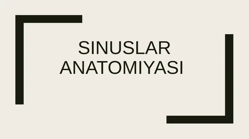 Sinuslaranatomiyasi
