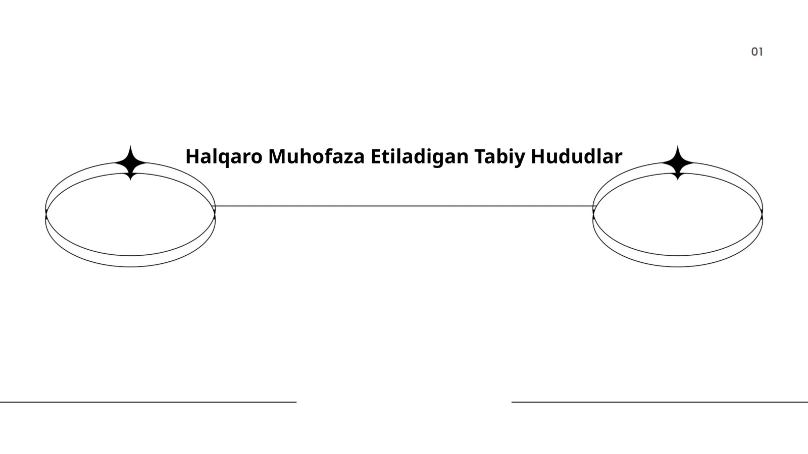 Halqaro Muhofaza Etiladigan Tabiy Hududlar