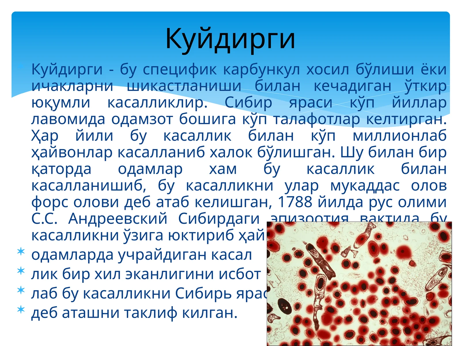 Сибиряраси