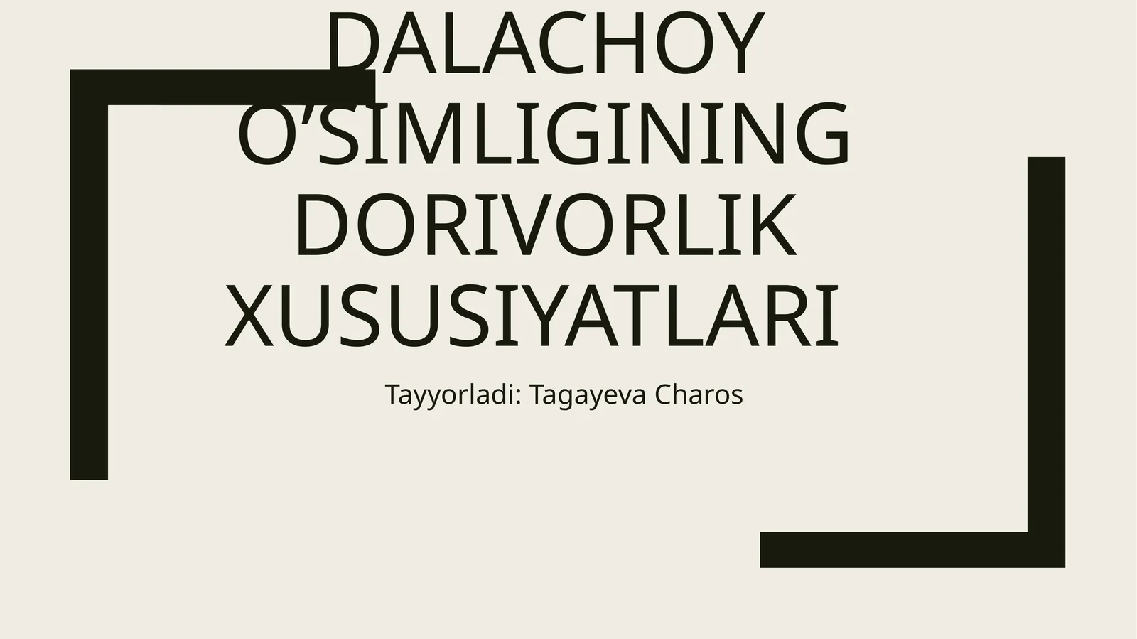 Dalachoyning o’simligining dorivorlik xususiyatlari