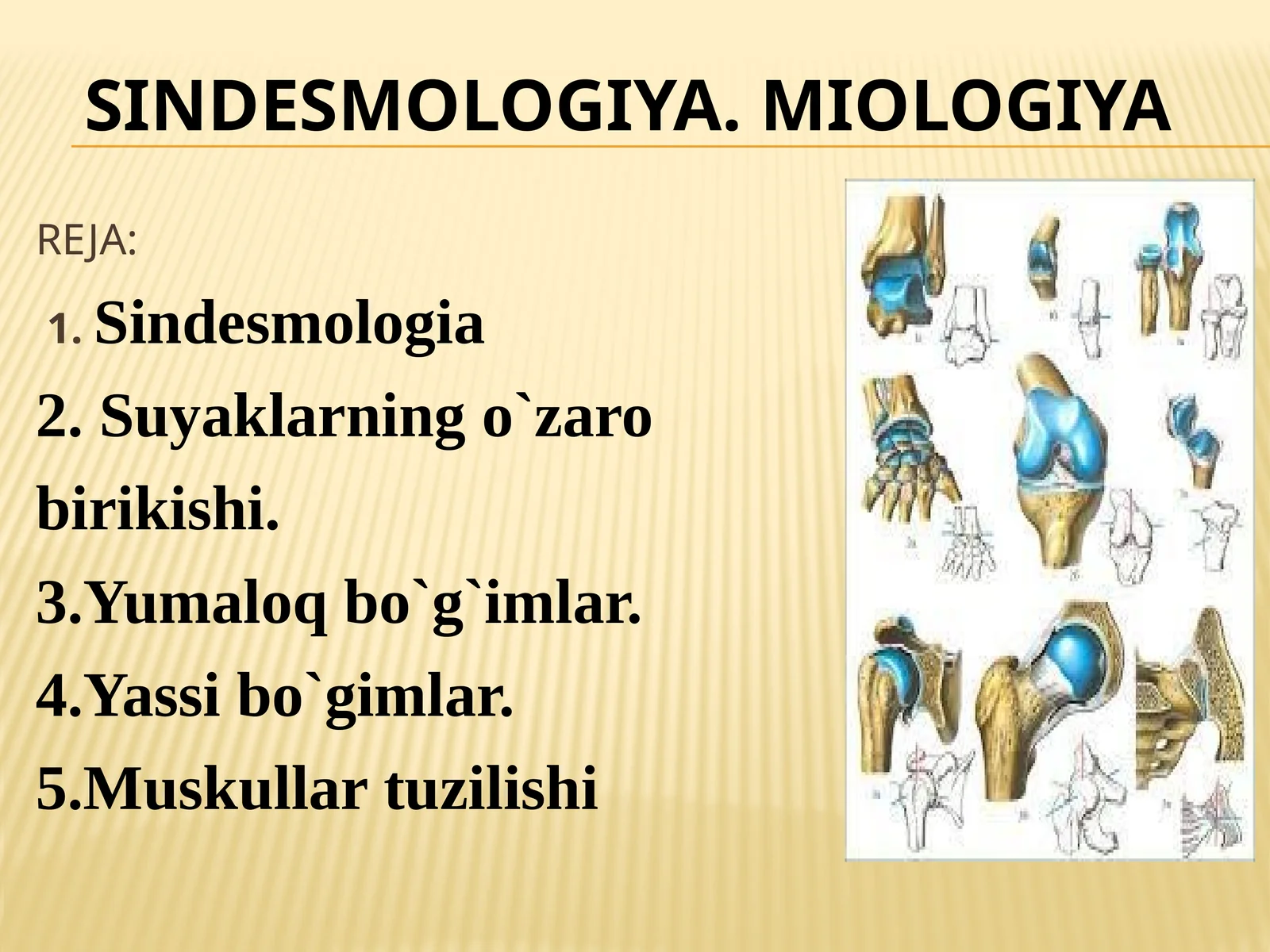 SINDESMOLOGIA