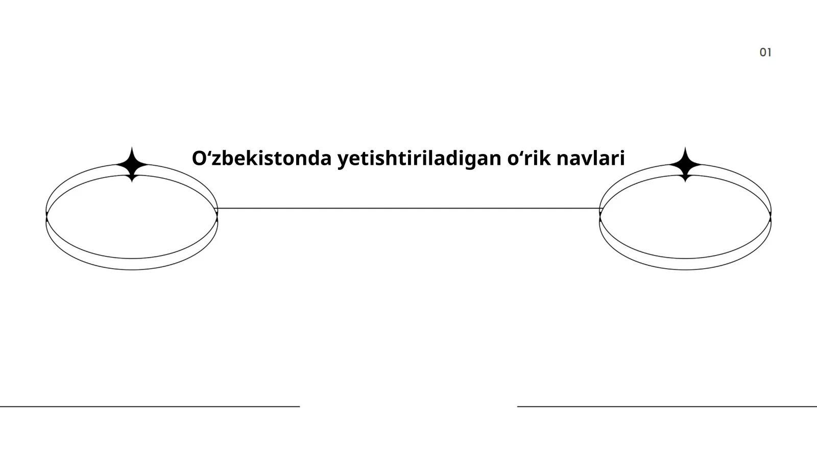 Oʻzbekistonda yetishtiriladigan oʻrik navlari