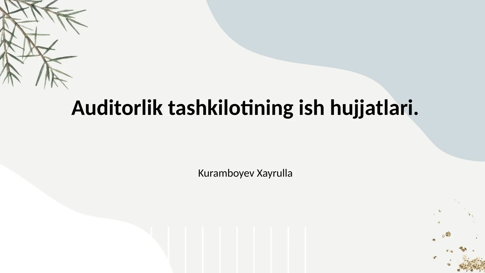 Auditorlik tashkilotining ish hujjatlari.