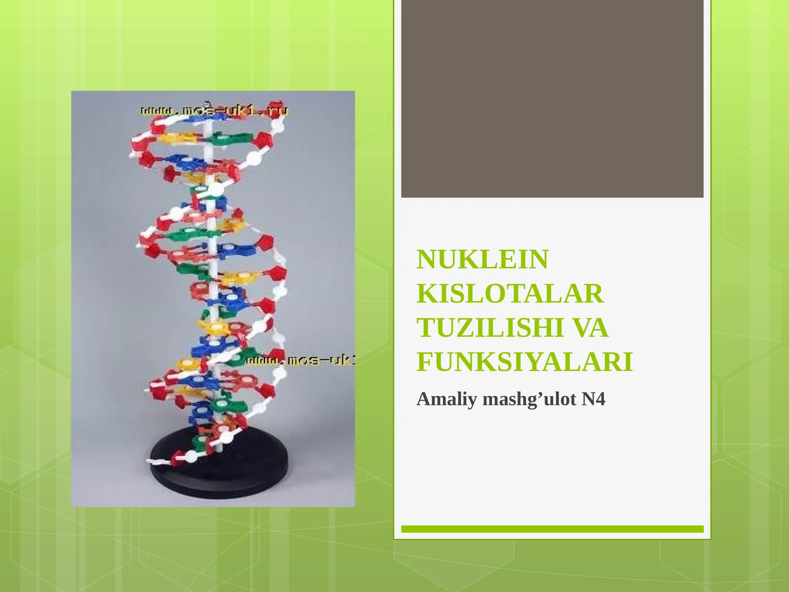 9-sinf Biologiya fanidan dars ishlanma. Nuklein kislotalar
