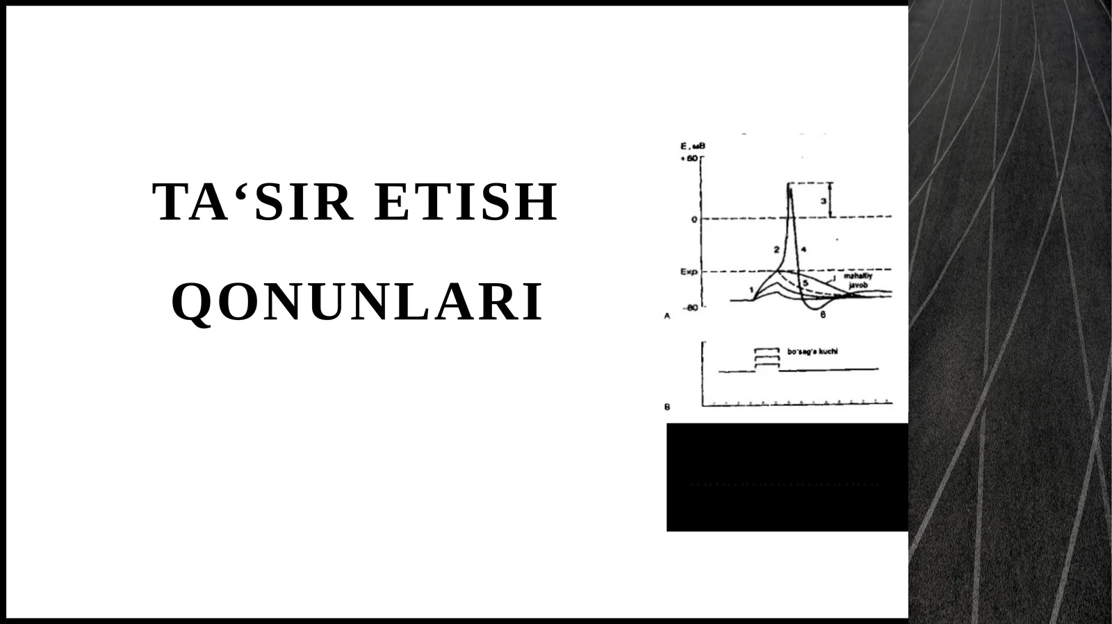 Ta‘siretishqonunlari