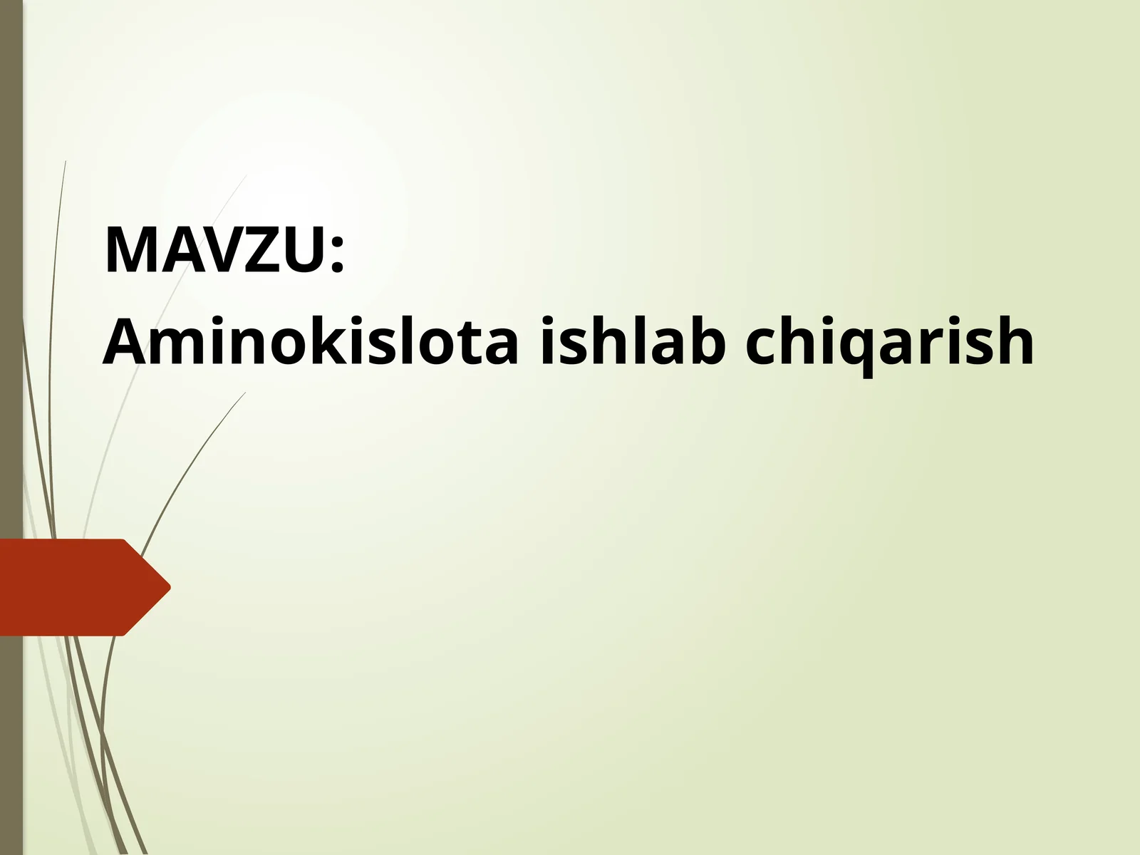 Aminokislota ishlab chiqarish