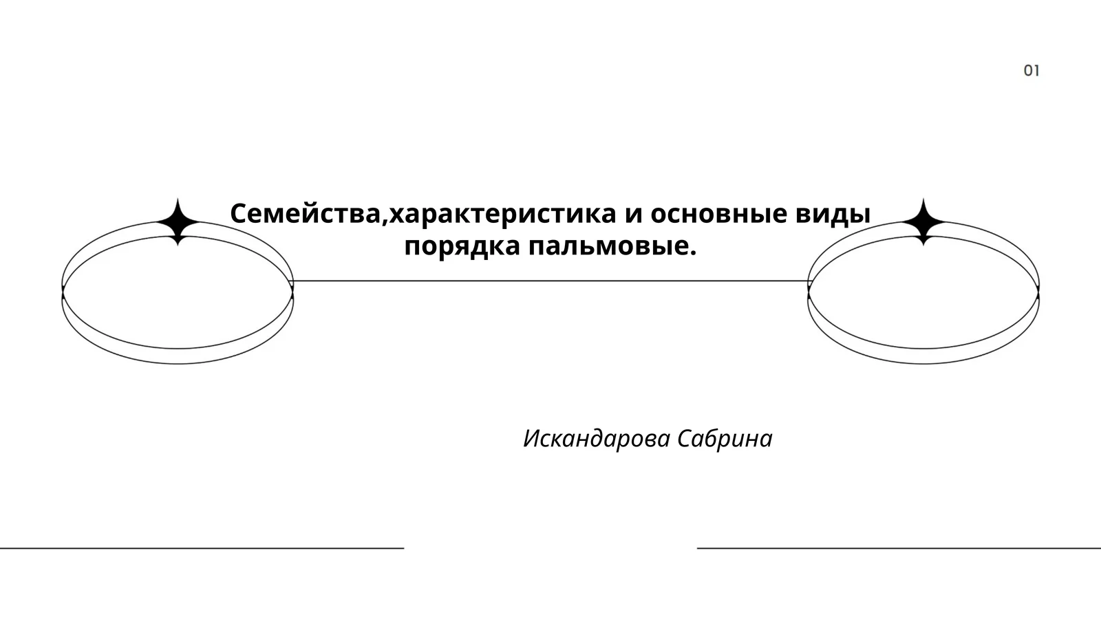 Семейства,характеристика и основные виды порядка пальмовые
