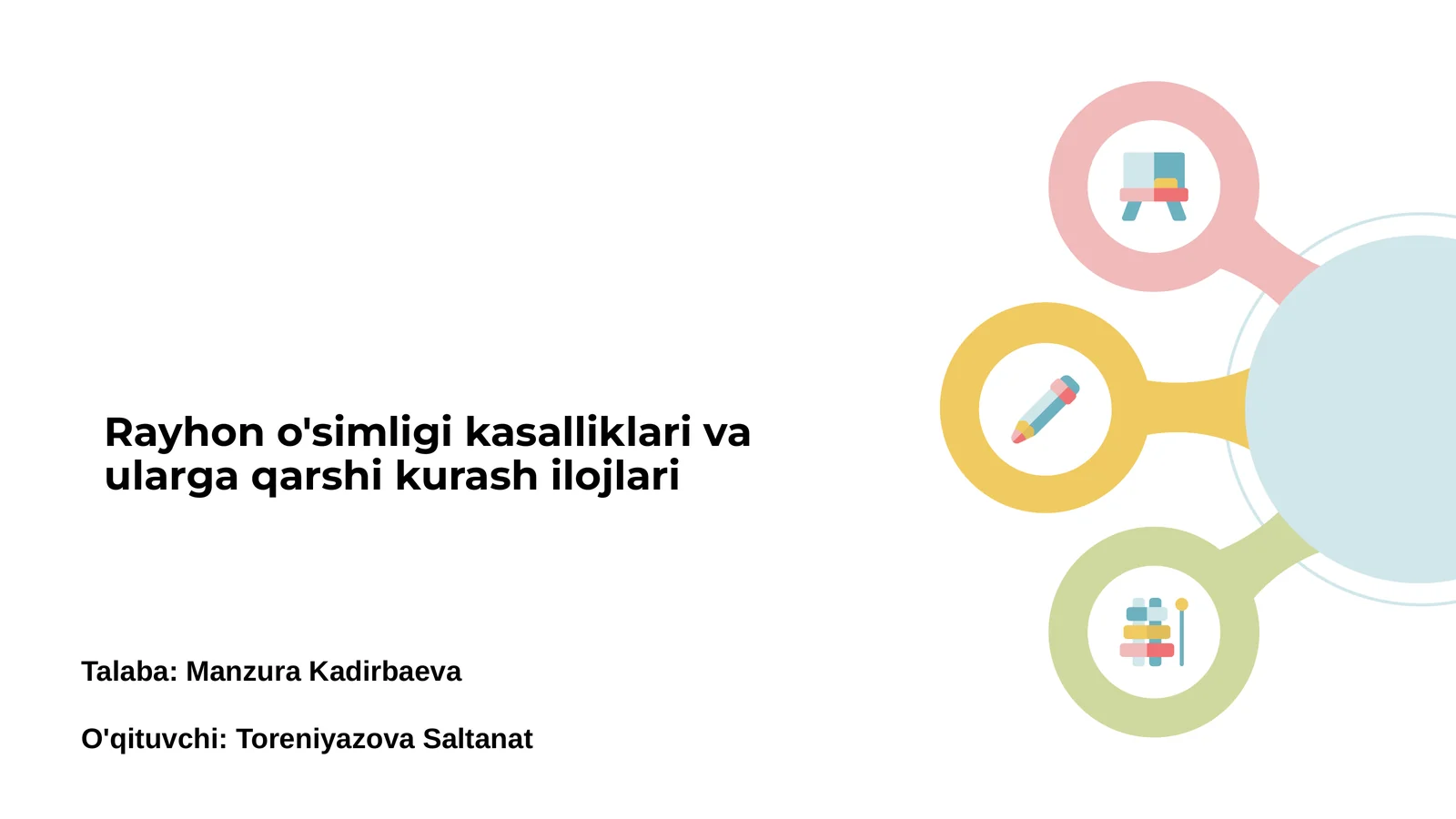 Rayhon o'simligi kasalliklari va ularga qarshi kurash ilojlari