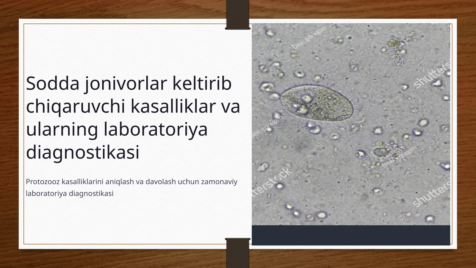 Sodda jonivorlar keltirib chiqaruvchi kasalliklar va ularning laboratoriya diagnostikasi