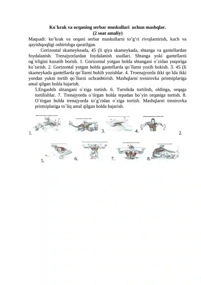 Ko`krak va orqaning serbar muskullari uchun mashqlar