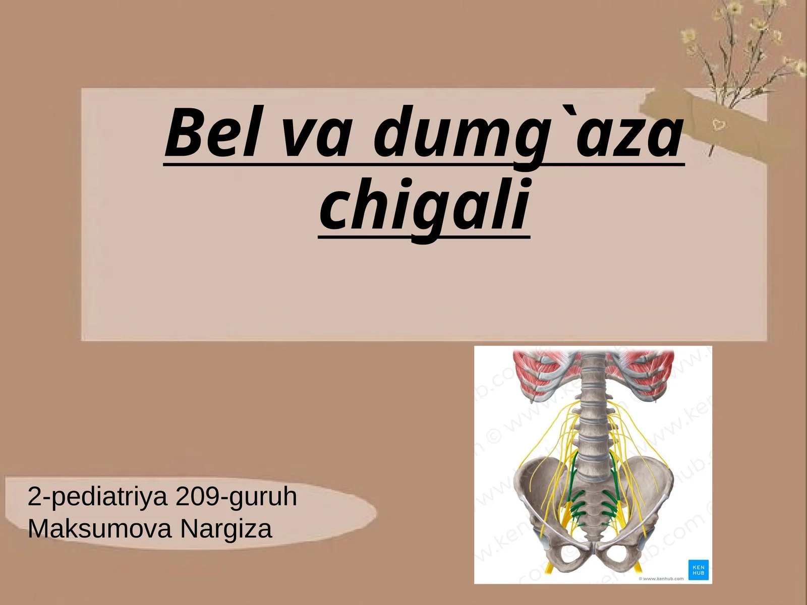Bel va dumg`aza chigali