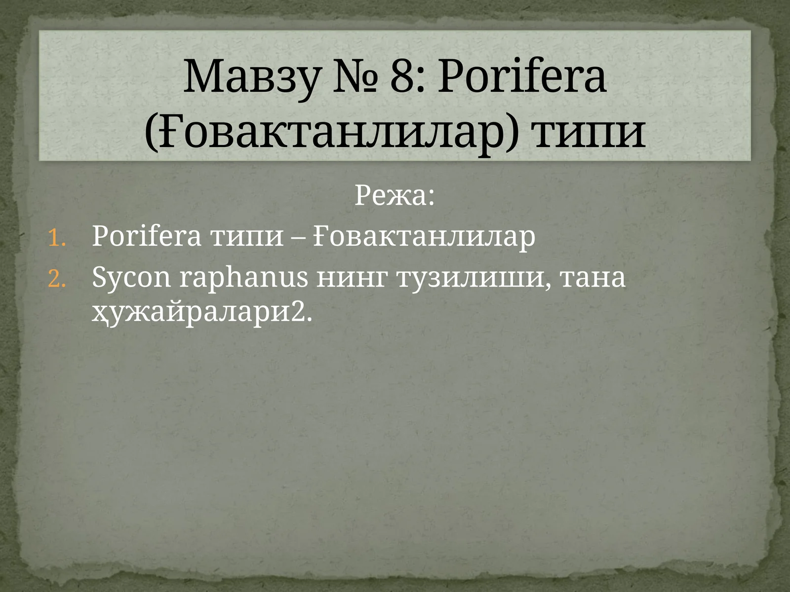Porifera типи – Ғовактанлилар