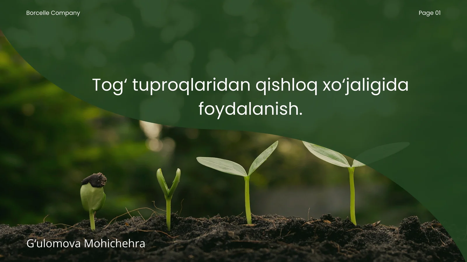 Tog‘ tuproqlaridan qishloq xo‘jaligida foydalanish