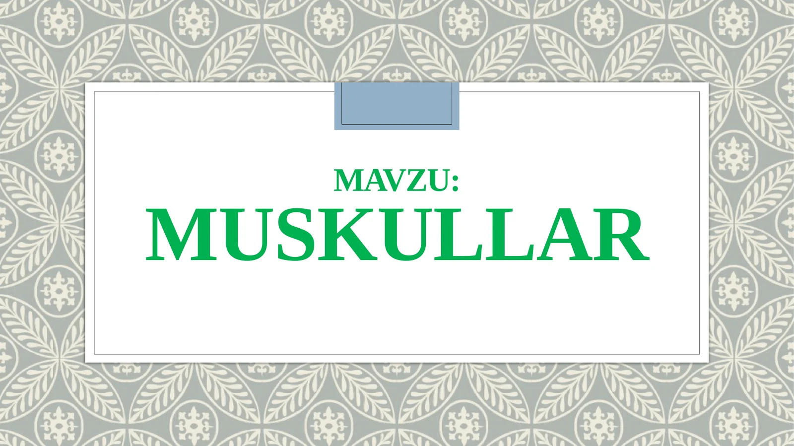 Muskullar