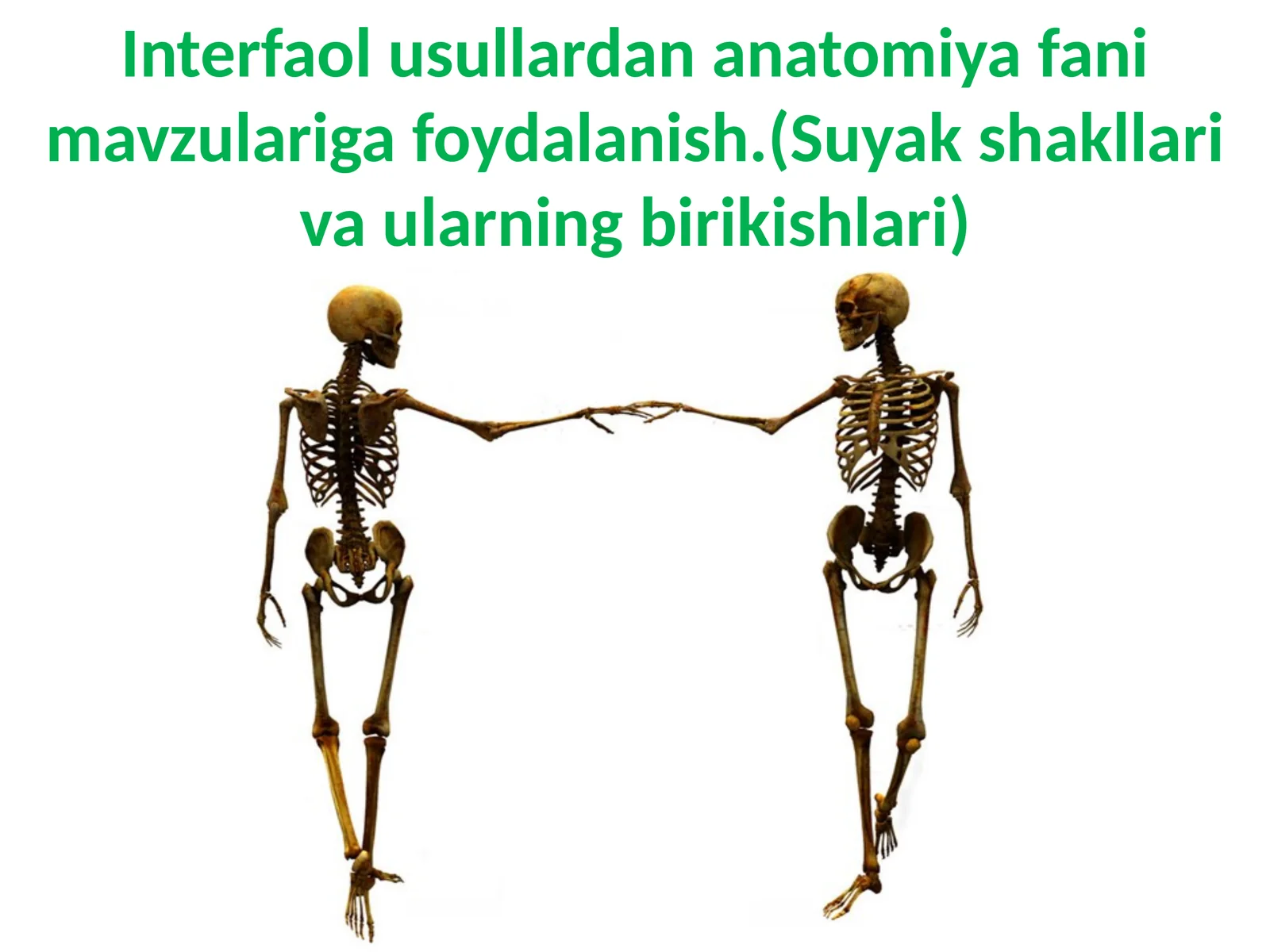 Interfaol usullardan anatomiya fani mavzulariga foydalanish