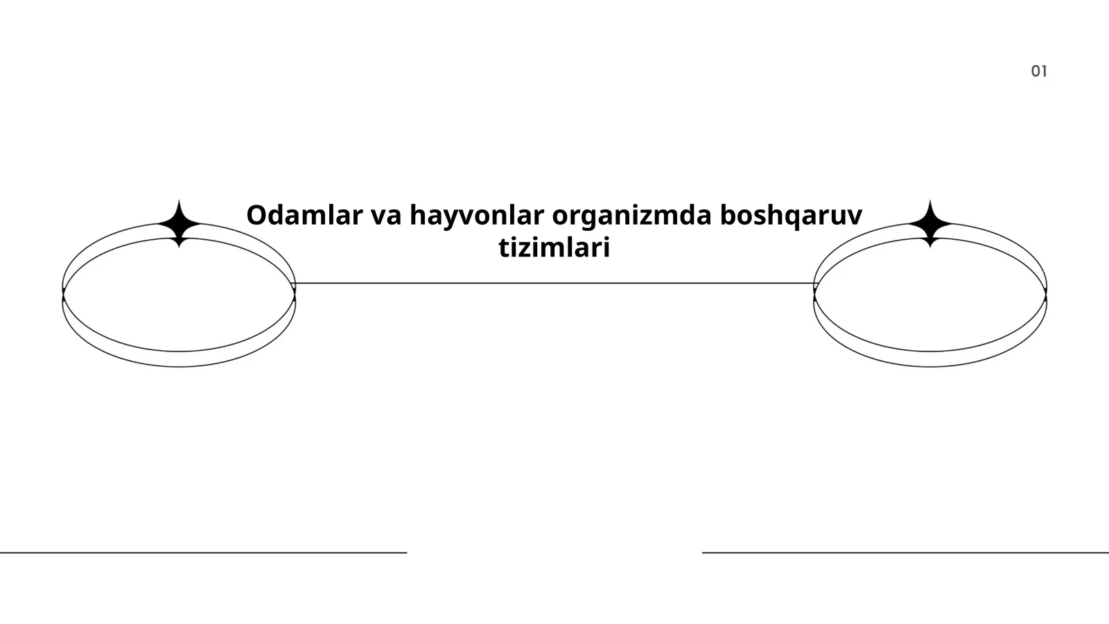 Odamlar va hayvonlar organizmda boshqaruv tizimlari