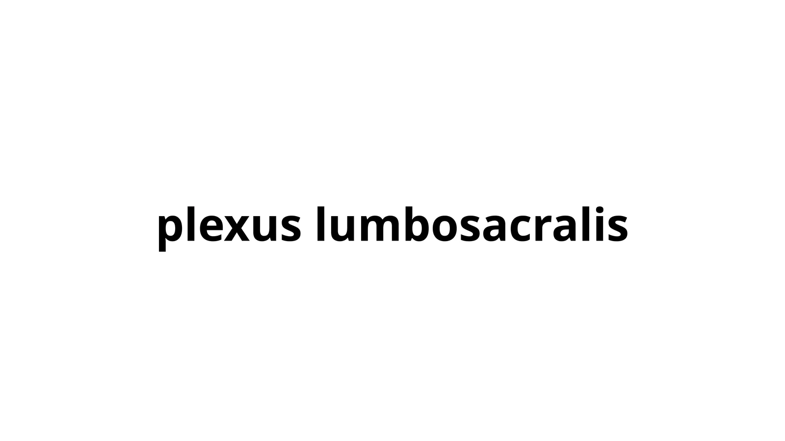 plexus lumbosacralis