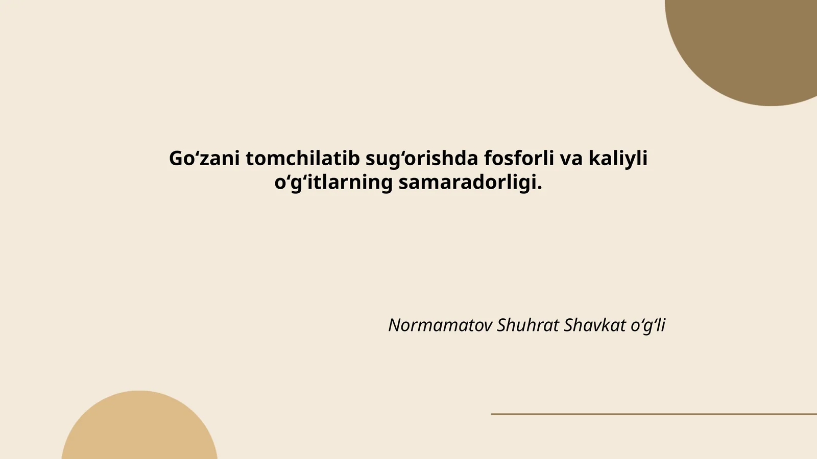 Go‘zani tomchilatib sug‘orishda fosforli va kaliyli o‘g‘itlarning samaradorligi