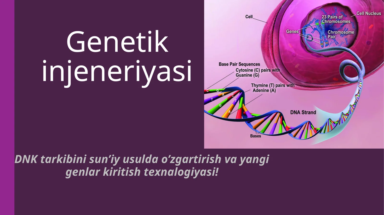 Genetik injeneriyasi