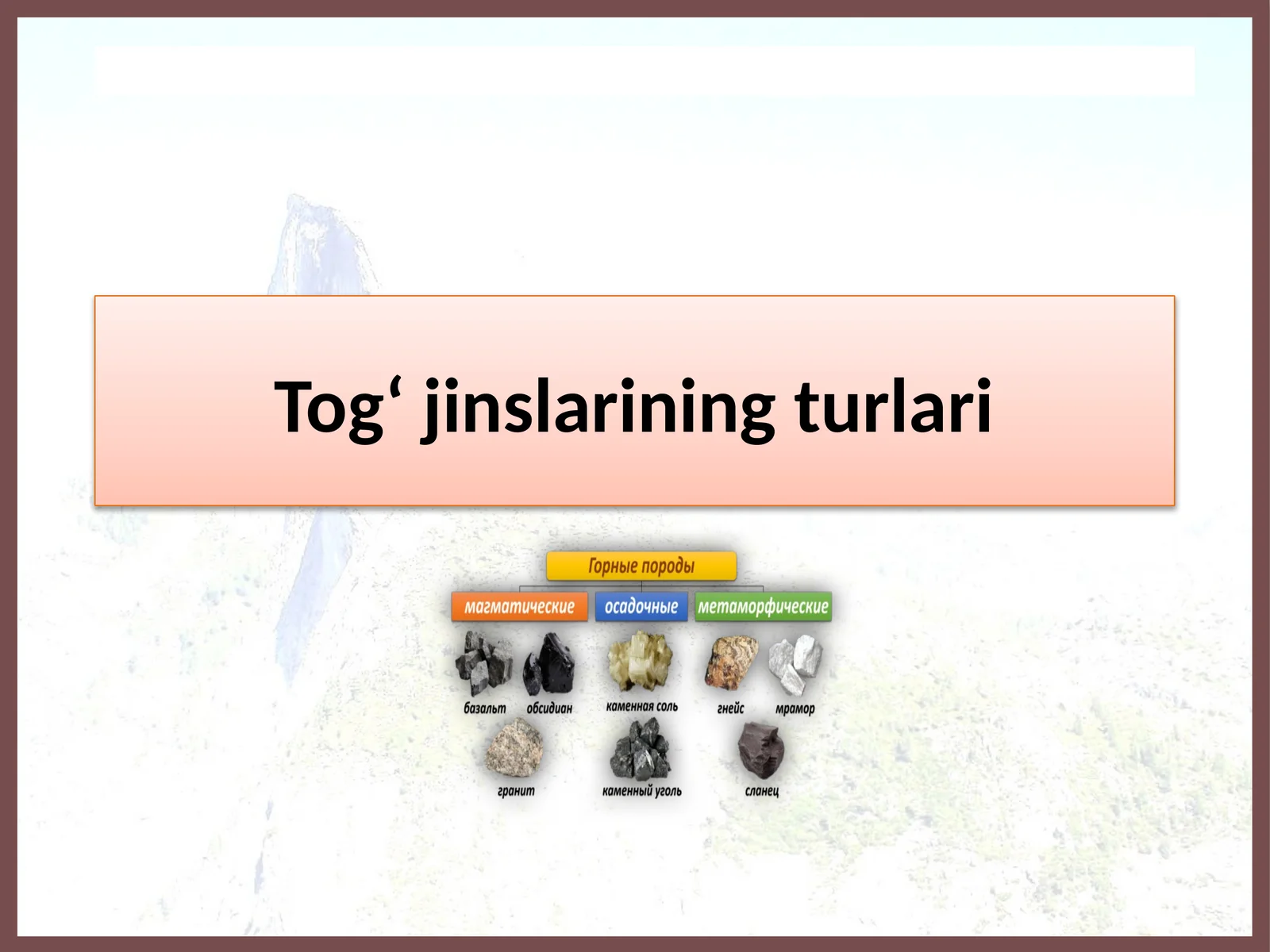 Tog‘jinslarining turlari