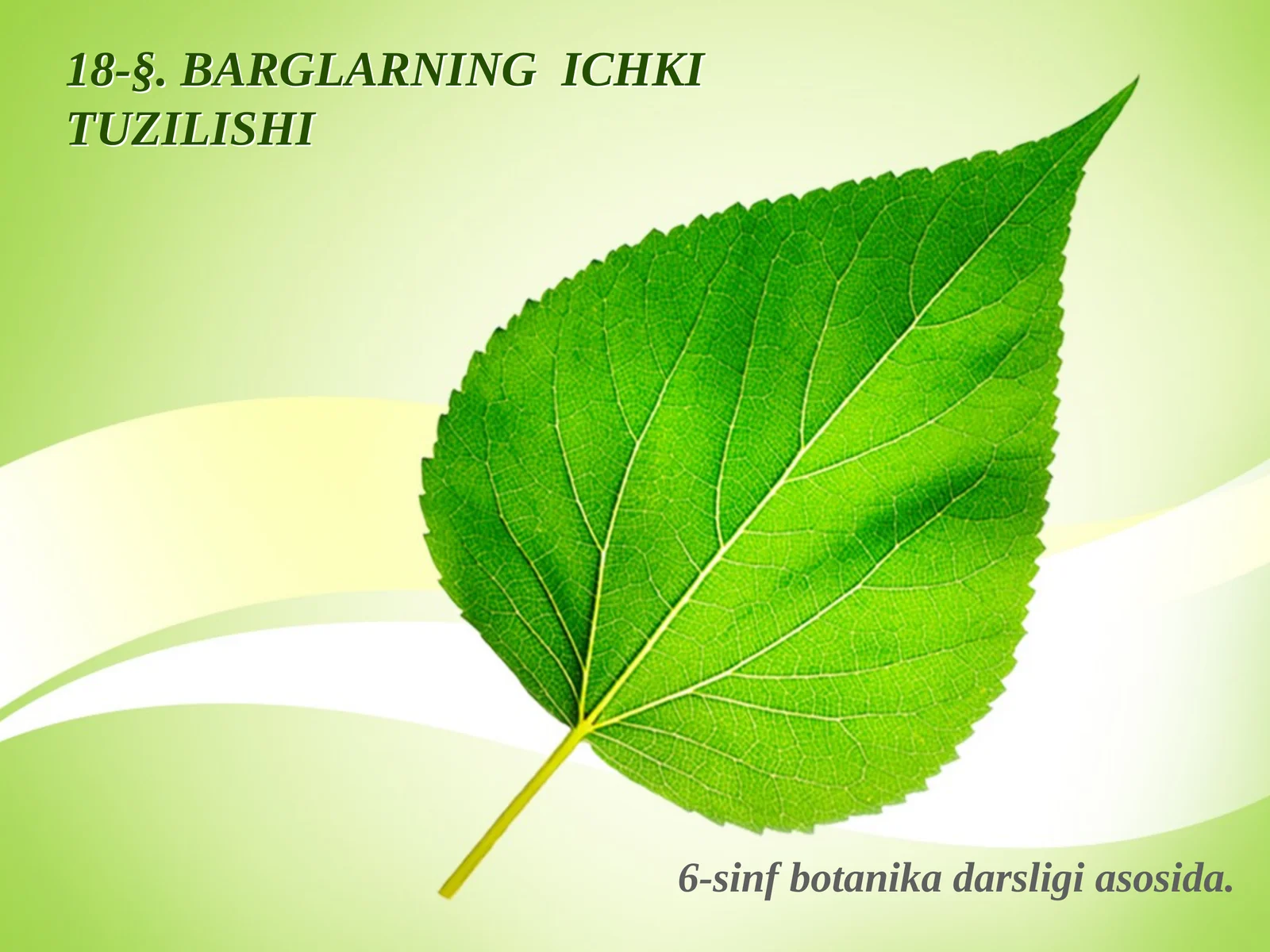BARGLARNING ICHKI TUZILISHI