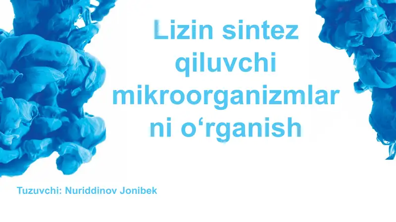 Lizin sintez qiluvchilik mikroorganizmlarini oʻrganish