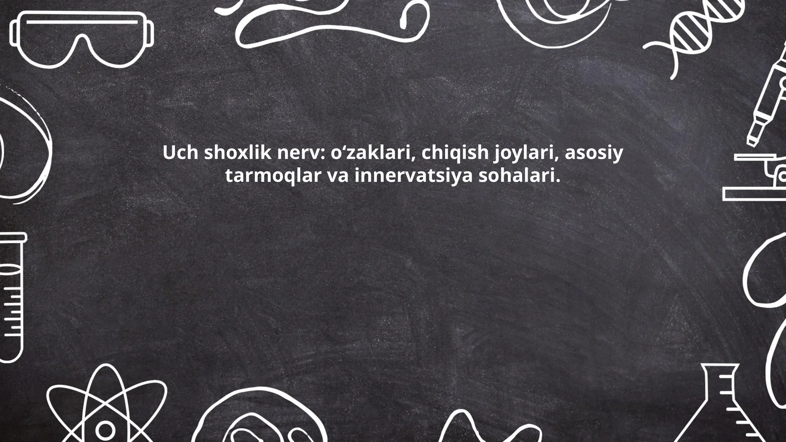 Uch shoxlik nerv: o‘zaklari, chiqish joylari, asosiy tarmoqlar va innervatsiya sohalari