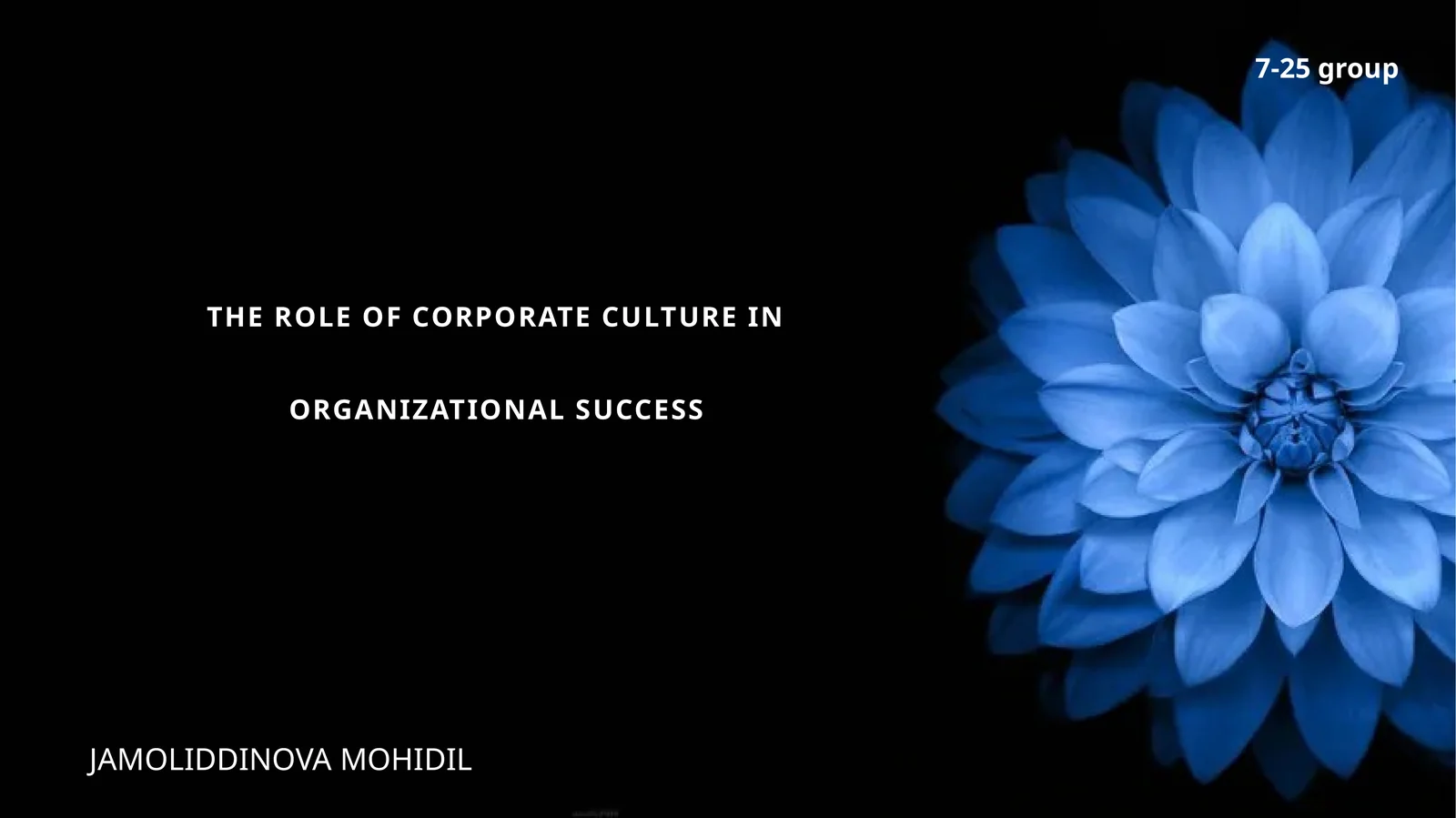 THE ROLE OF CORPORATE CULTURE IN ORGANIZATIONAL SUCCESS