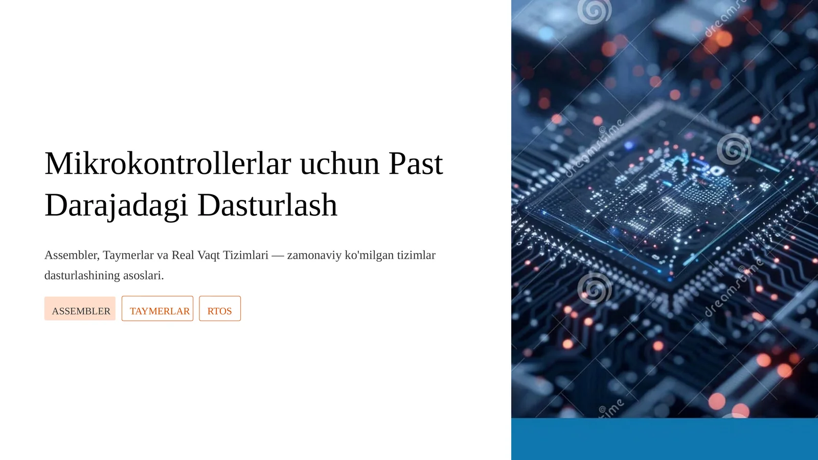 Mikrokontrollerlar uchun Past Darajadagi Dasturlash