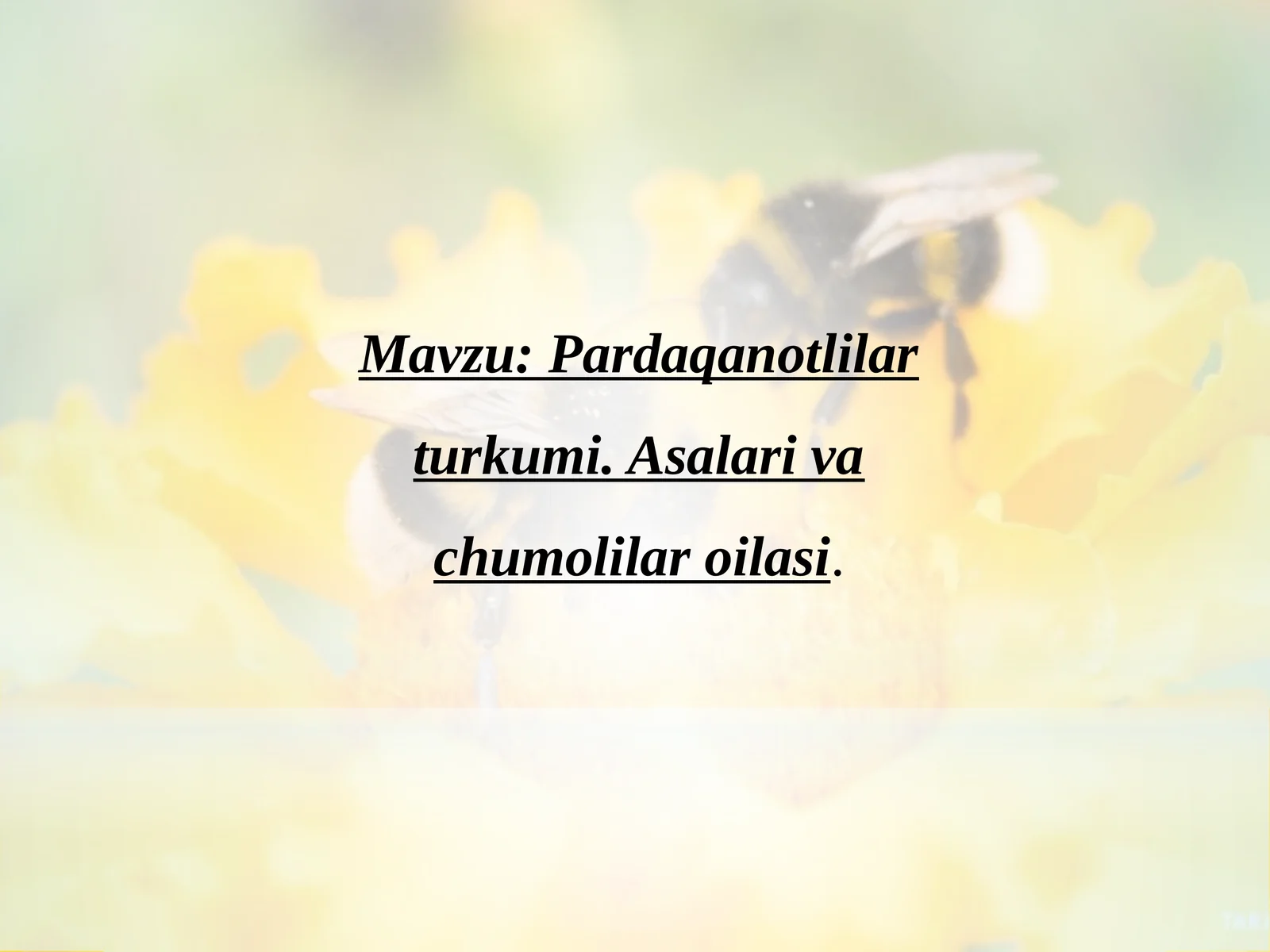 Pardaqanotlilarturkumi.Asalarivachumolilaroilasi