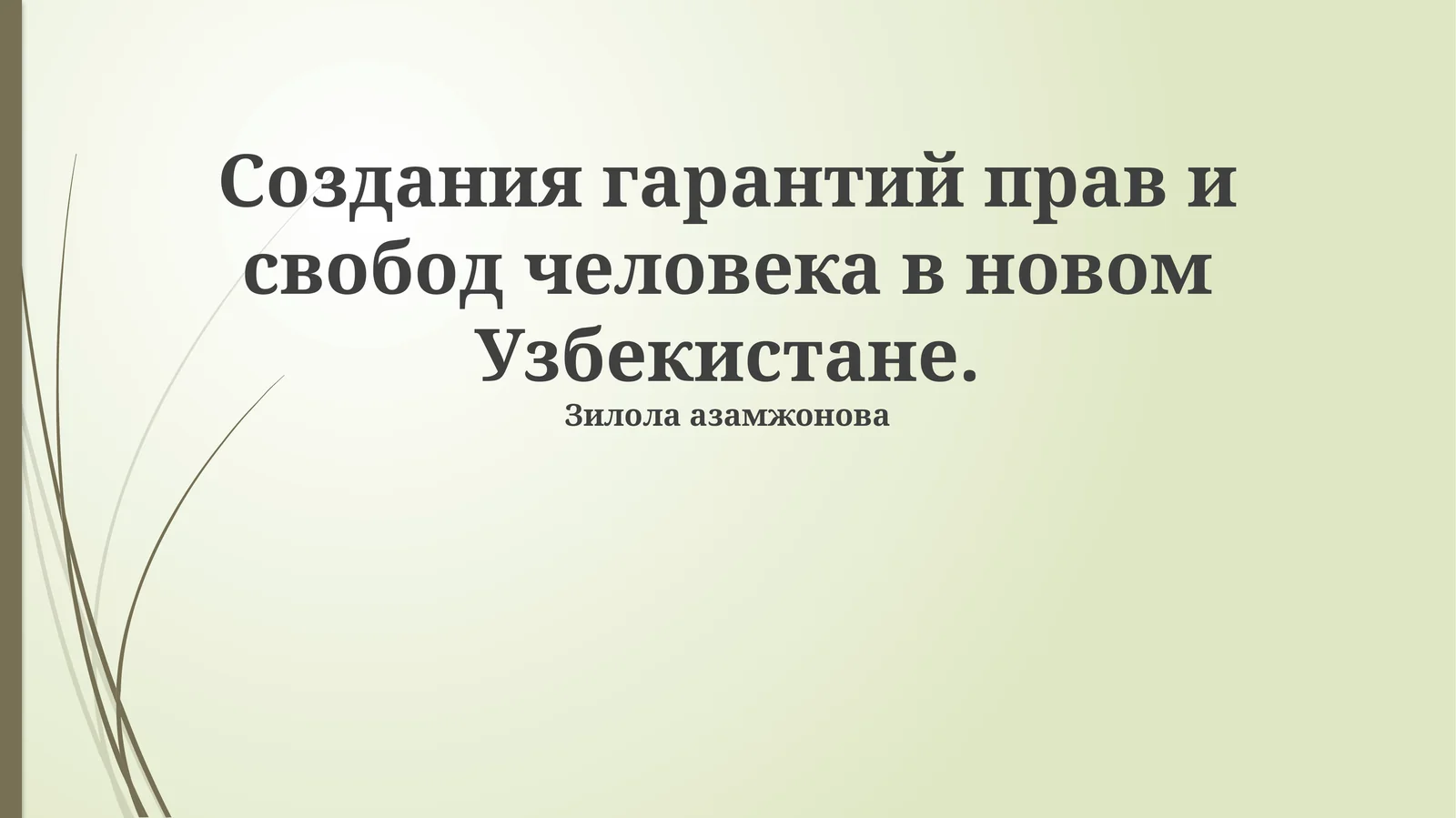 Создания гарантий прав и свобод человека в новом Узбекистане