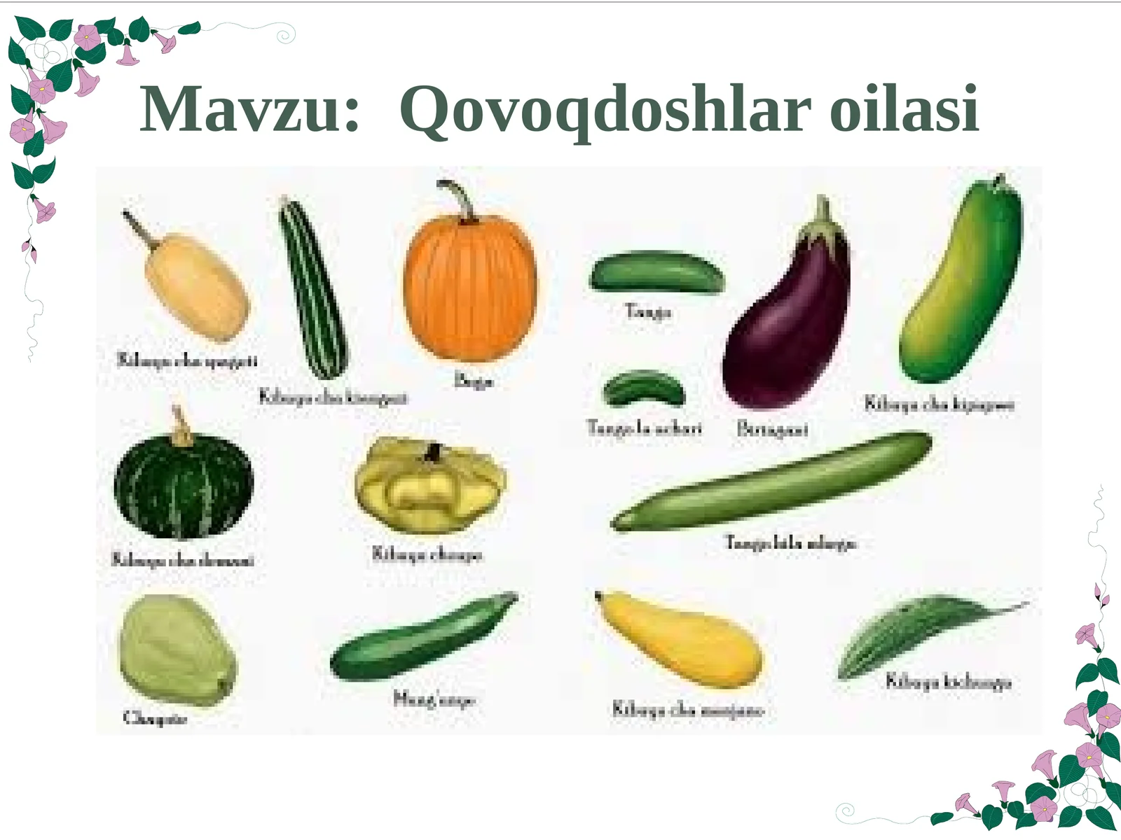 Qovoqdoshlar oilasi