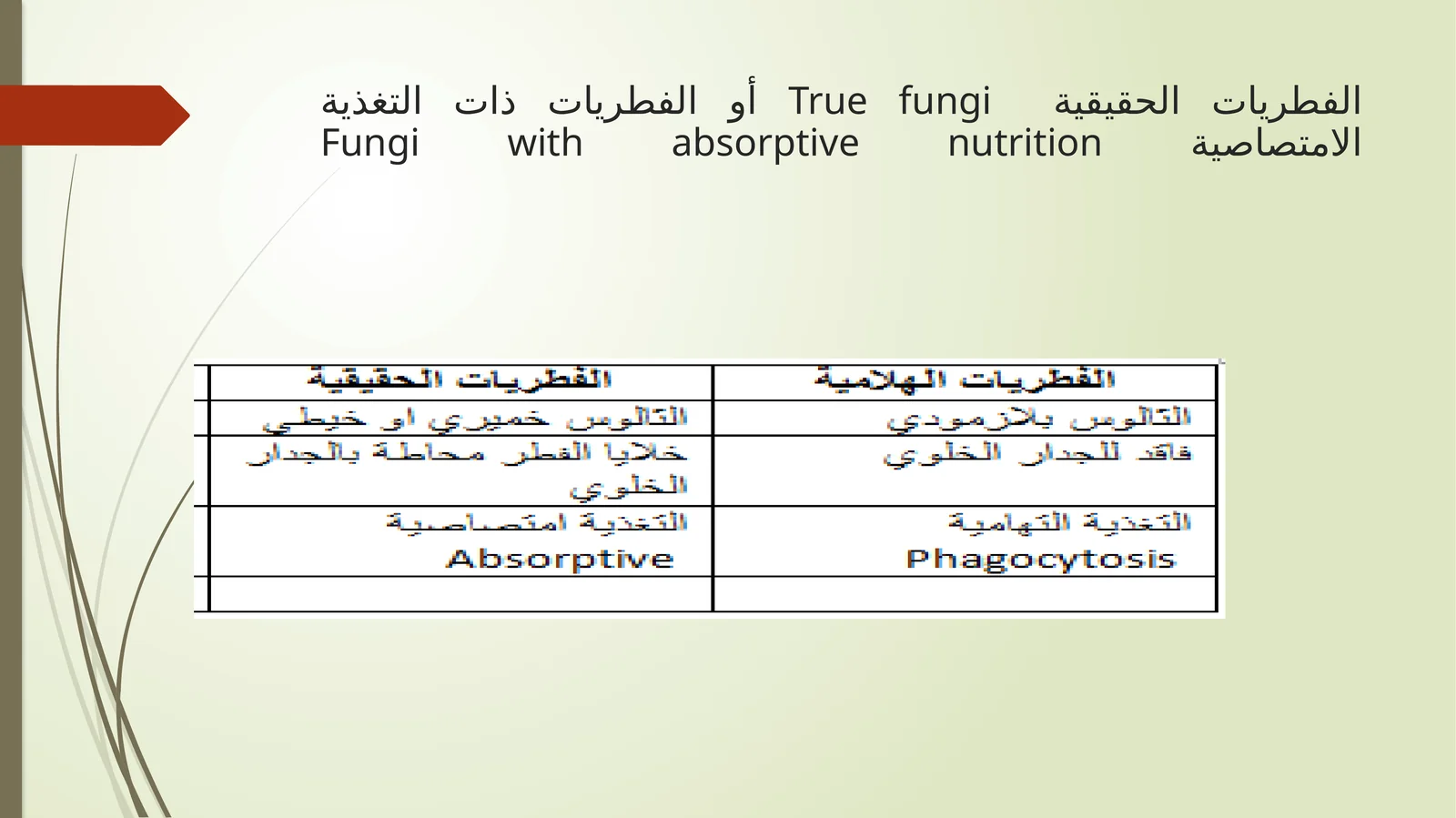 الفطريات الحقيقية True fungi
