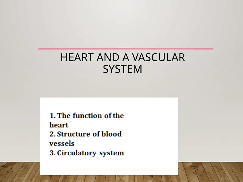 Heart and a vascular system