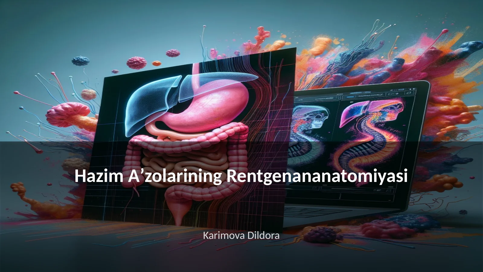 Hazim Aʼzolarining Rentgenananatomiyasi