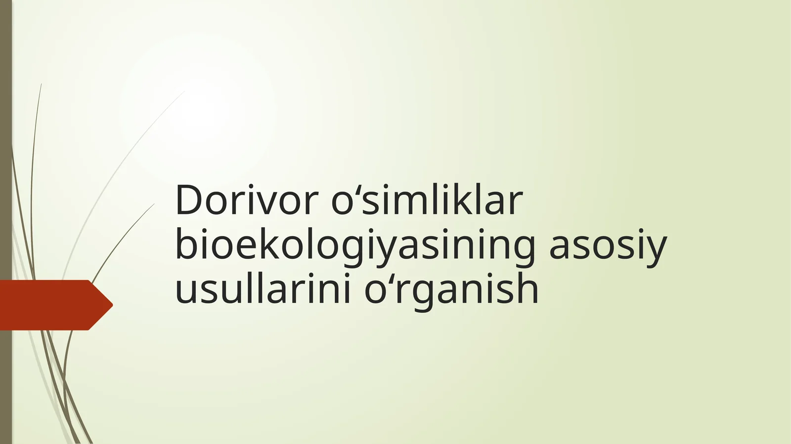 Dorivor o‘simliklar bioekologiyasining asosiy usullarini o‘rganish