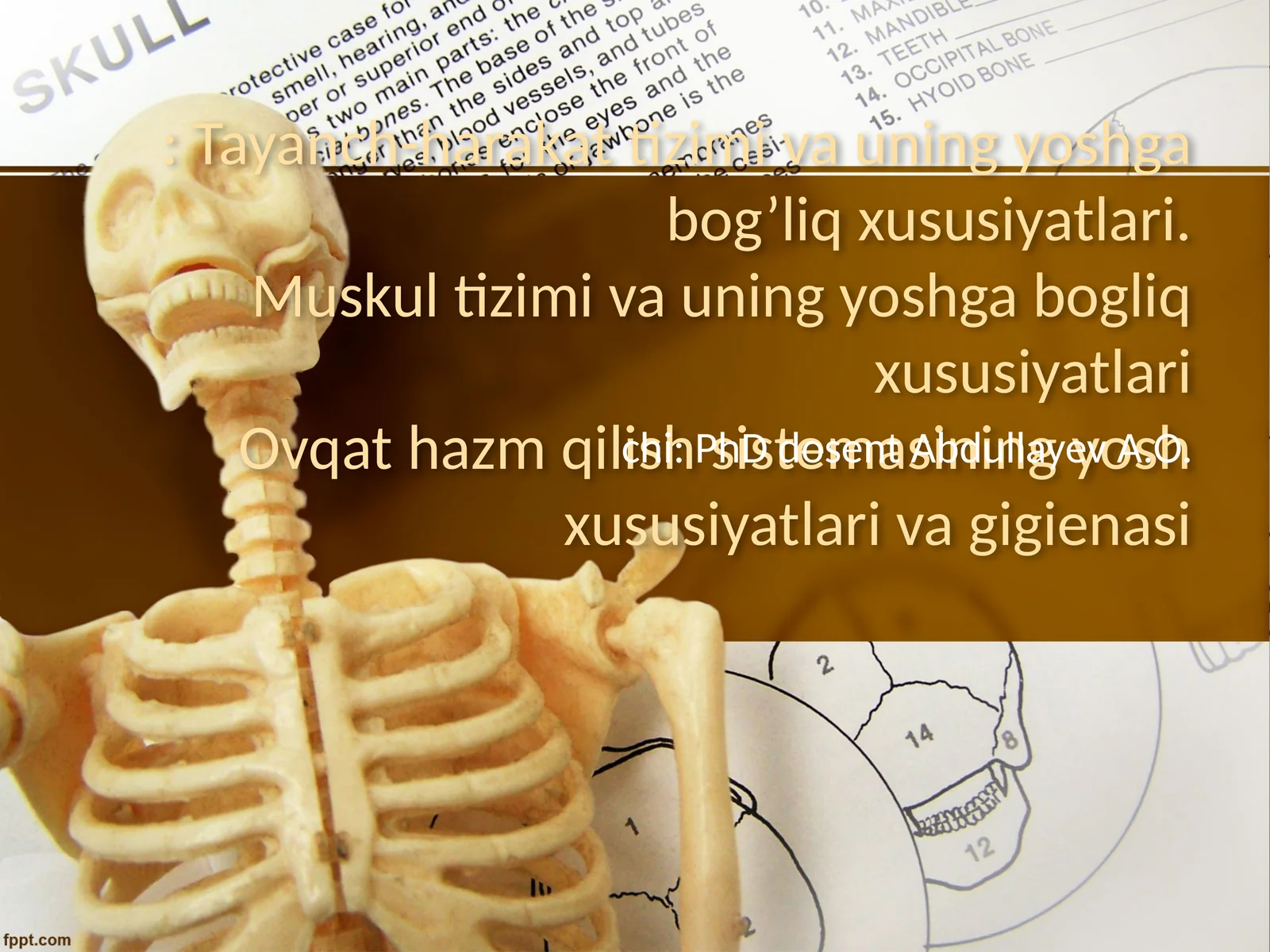 Tayanch-harakat tizimi va uning yoshga bog’liq xususiyatlari.Muskul tizimi va uning yoshga bogliq xususiyatlariOvqat hazm qilish sistemasining yosh xususiyatlari va gigienasi