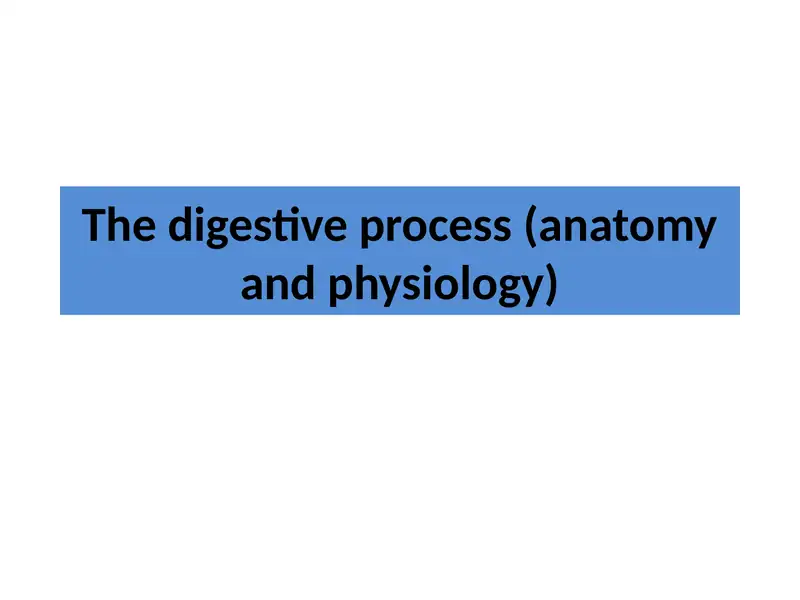 The digestive process (anatomy and physiology)