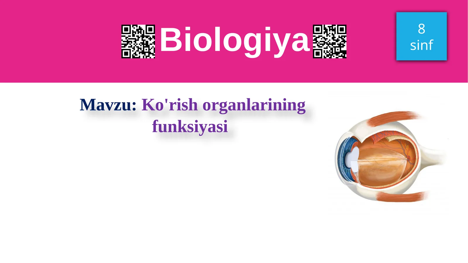 Ko'rishorganlarining funksiyasi
