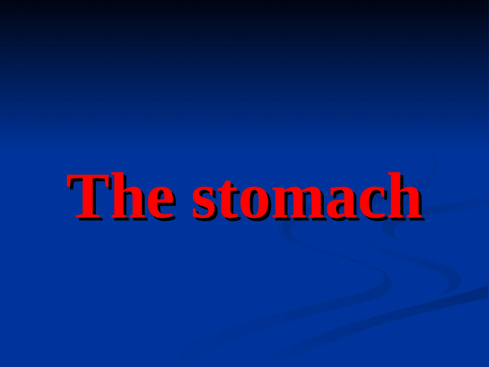 The stomach