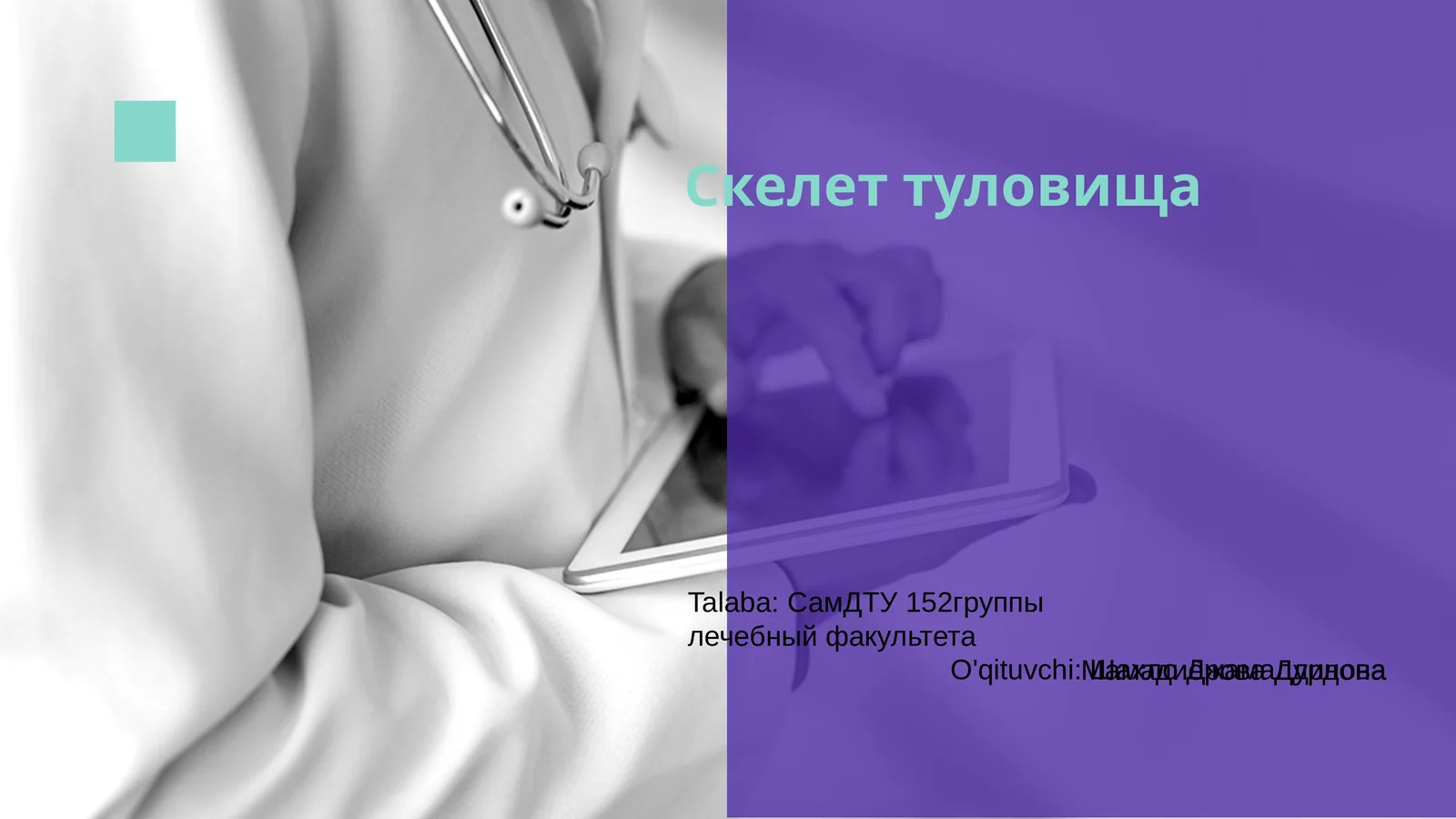 Скелет туловища