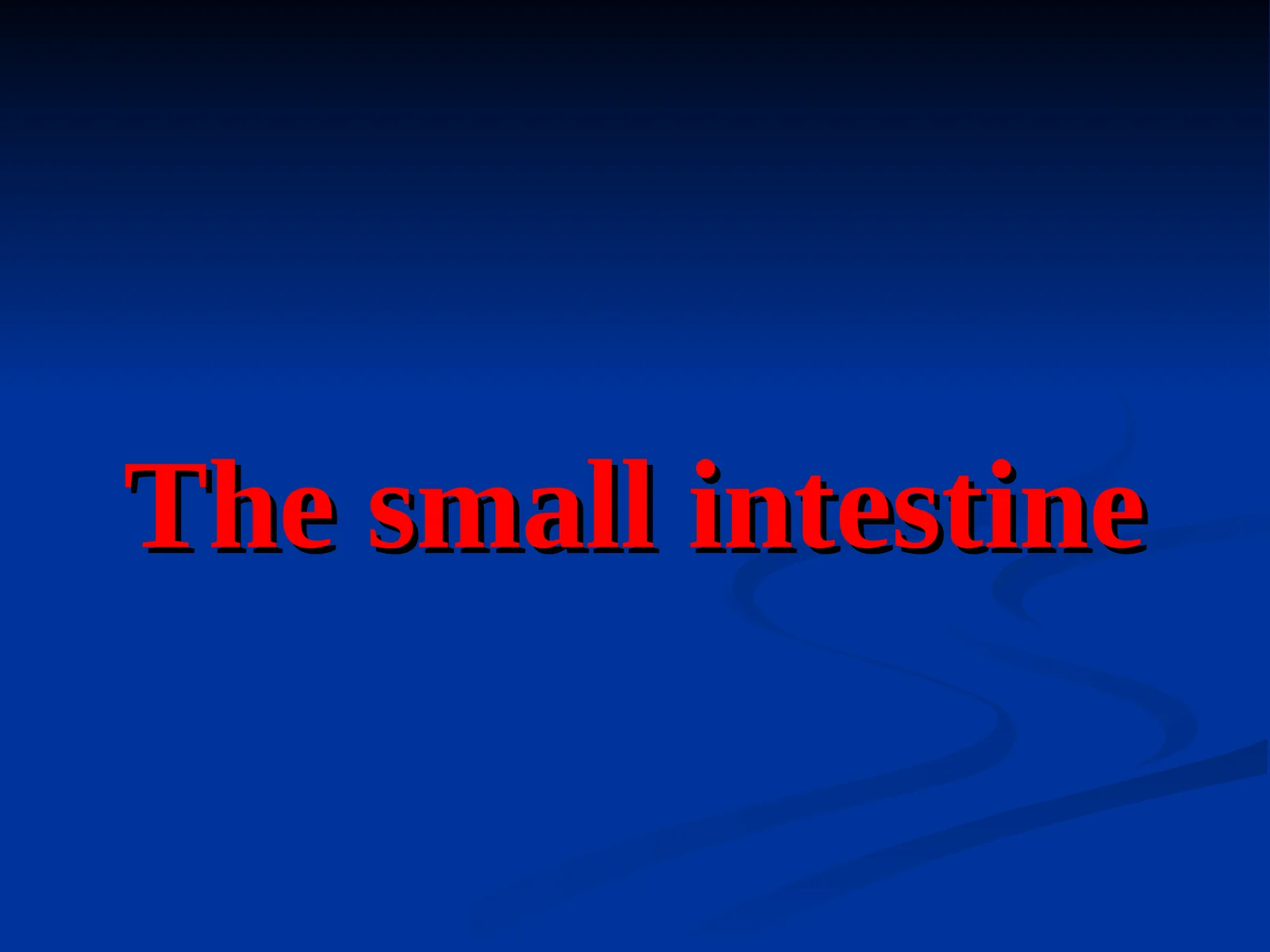 The small intestine
