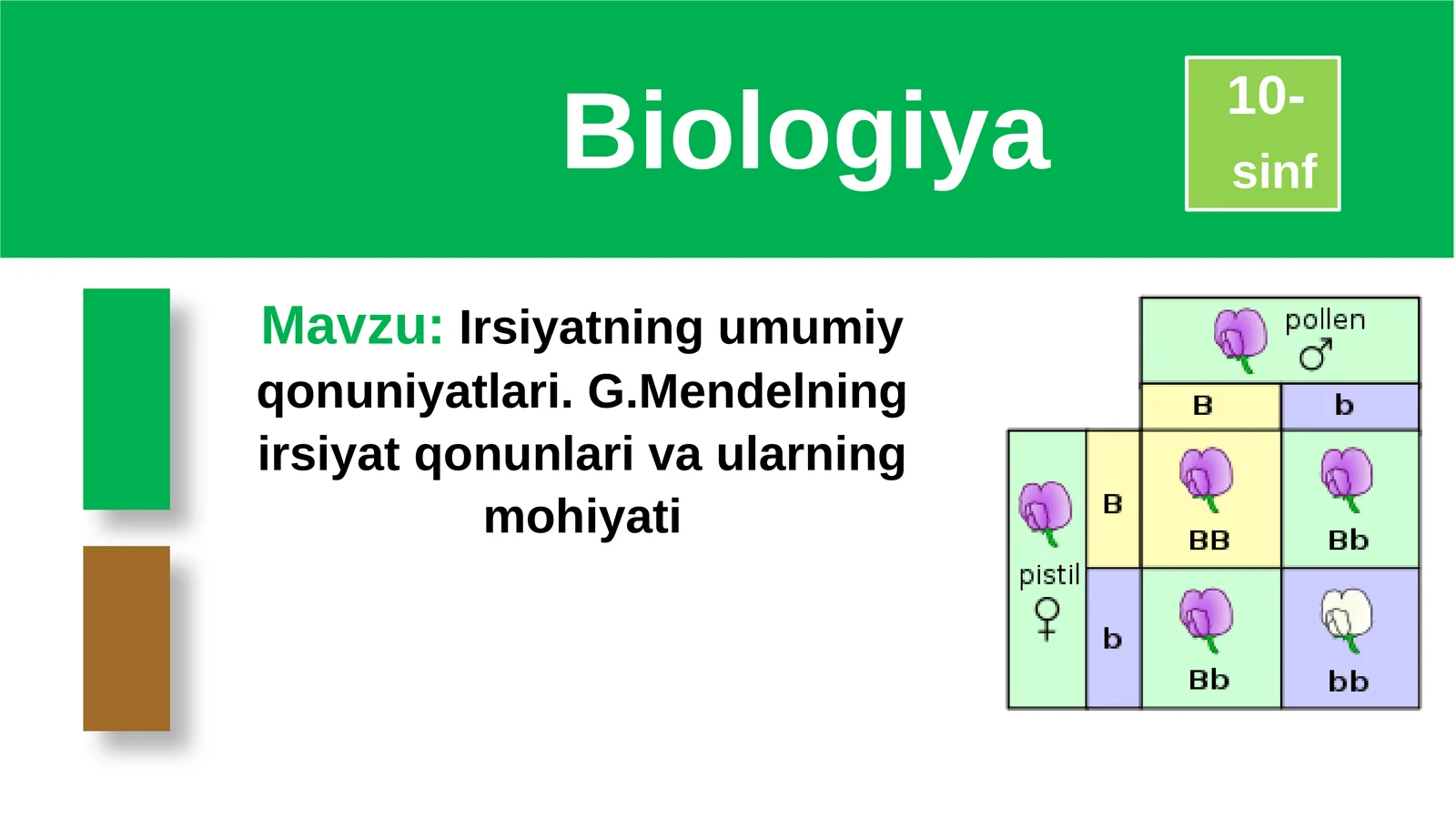 Irsiyatning umumiy qonuniyatlari. G. Mendelning irsiyat qonunlari va ularning mohiyati