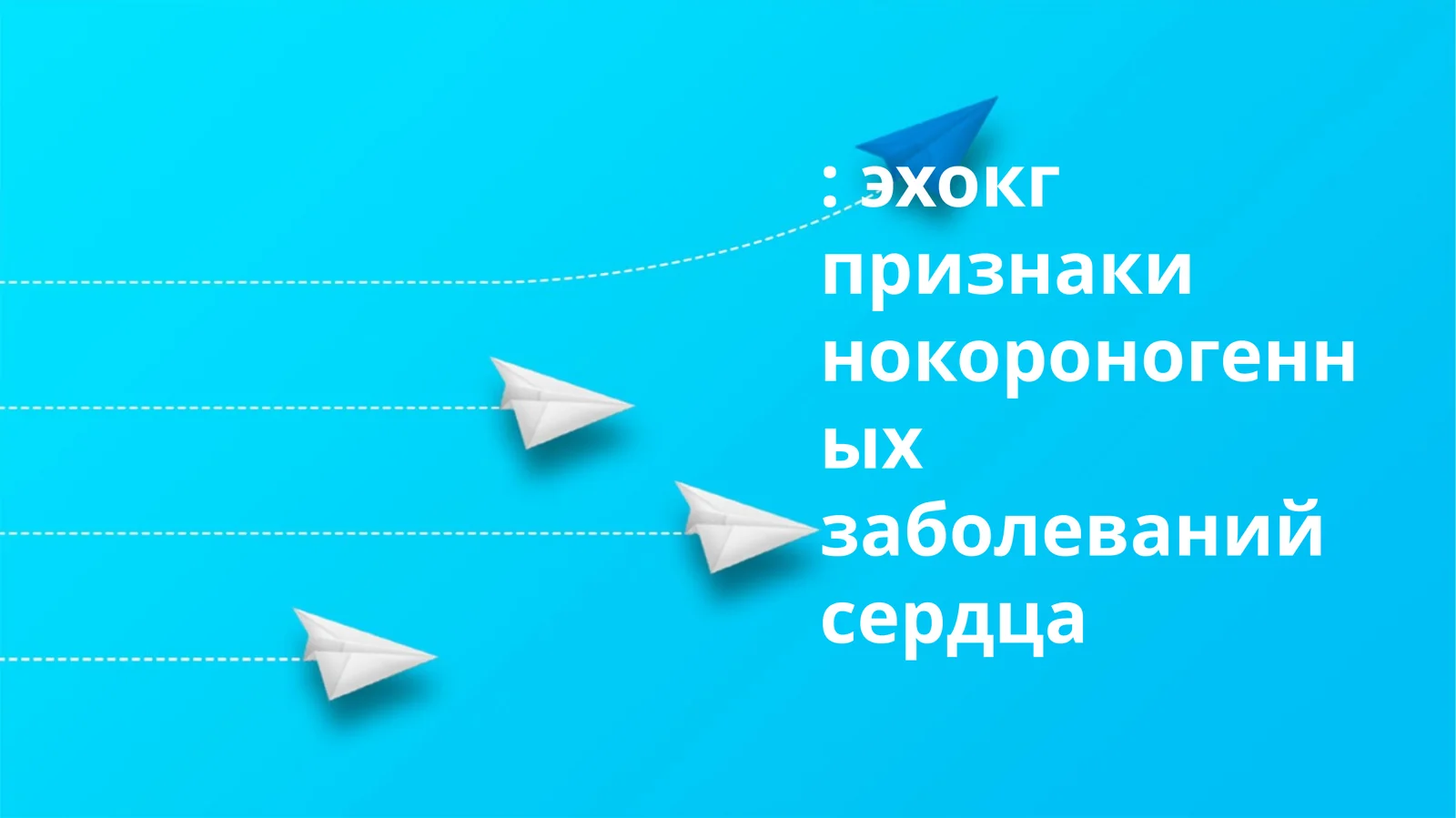 Эхокардиография
