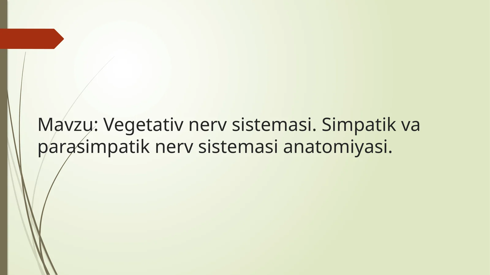 Vegetativ nerv sistemasi anatomiyasi