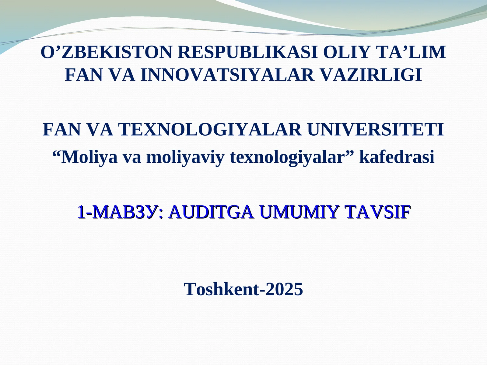 AUDITGA UMUMIY TAVSIF